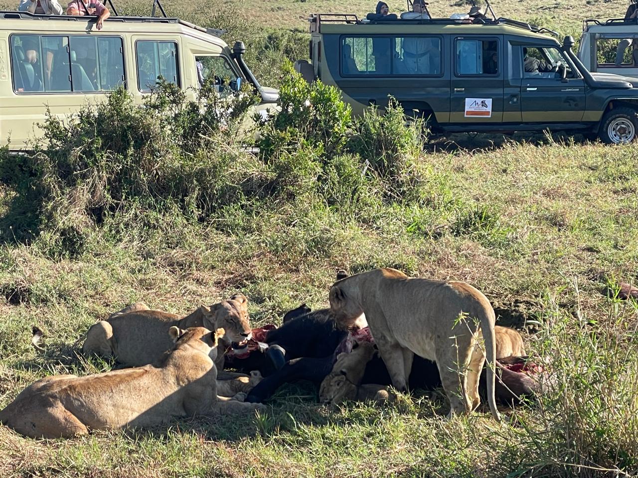Eldoret to Maasai Mara Package